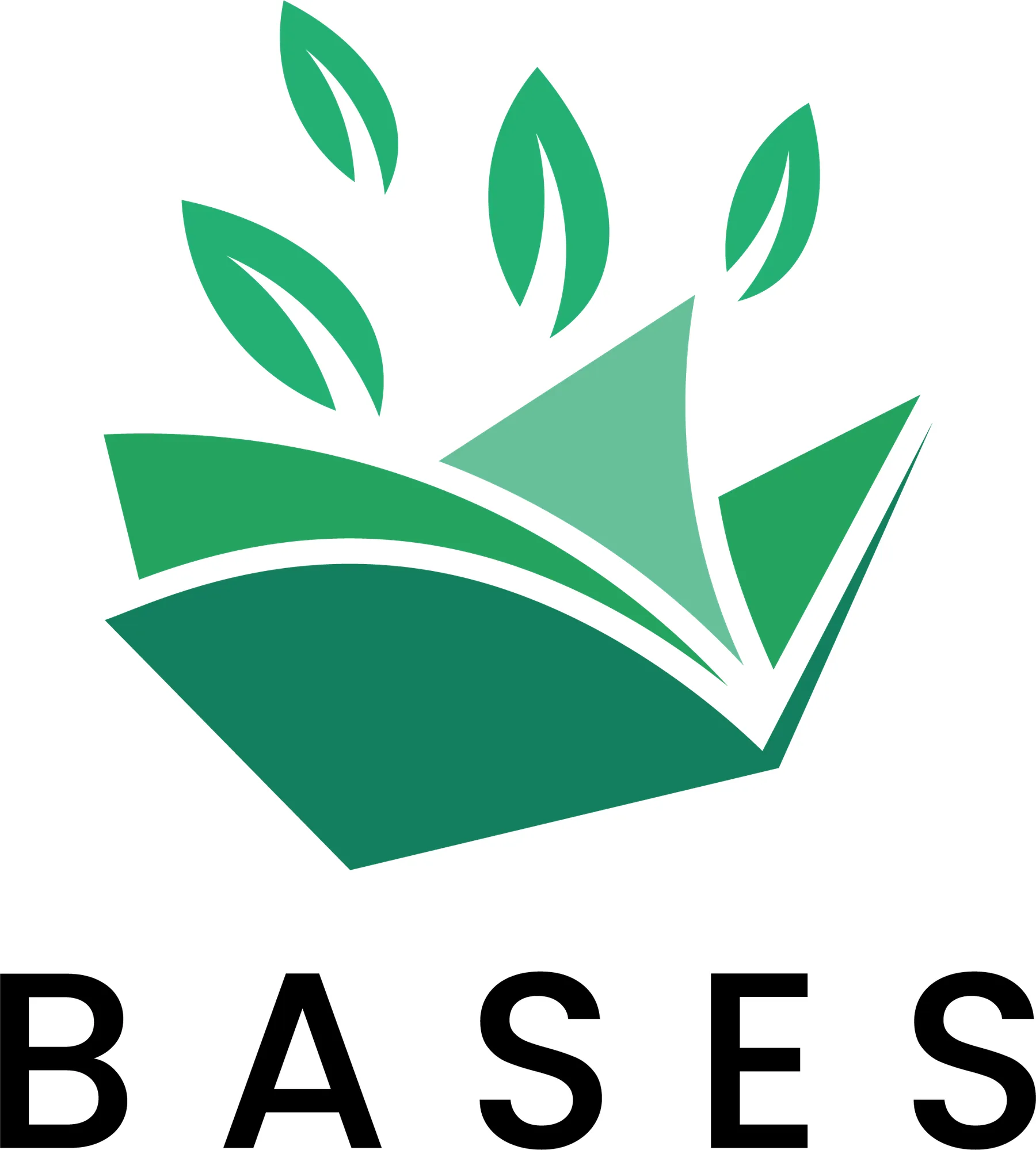 BASES会計事務所様の会計事務所ロゴデザイン｜完成ロゴ